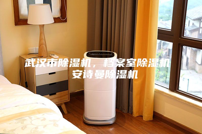 武漢市除濕機，檔案室除濕機  安詩曼除濕機