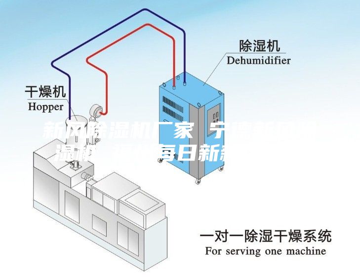 新風(fēng)除濕機(jī)廠家 寧德新風(fēng)除濕機(jī) 福州每日新新風(fēng)系統(tǒng)