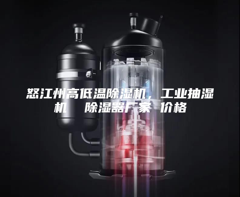 怒江州高低溫除濕機，工業抽濕機  除濕器廠家 價格
