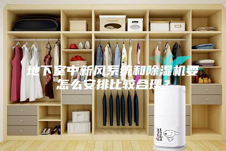 地下室中新風(fēng)系統(tǒng)和除濕機要怎么安排比較合理？
