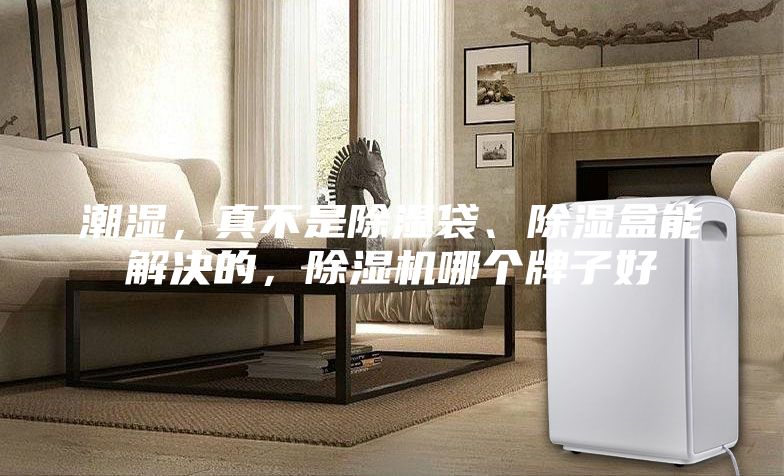 潮濕，真不是除濕袋、除濕盒能解決的，除濕機哪個牌子好