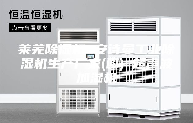 萊蕪除濕機 安詩曼工業(yè)除濕機生產廠家(圖) 超聲波加濕機