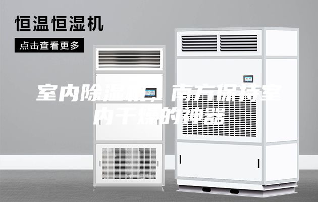 室內除濕機，南方保持室內干燥的神器
