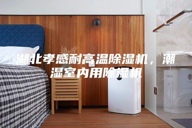湖北孝感耐高溫除濕機，潮濕室內用除濕機