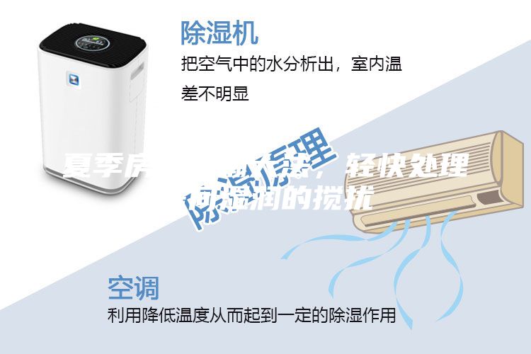 夏季房屋防潮大法，輕快處理房間濕潤的攪擾