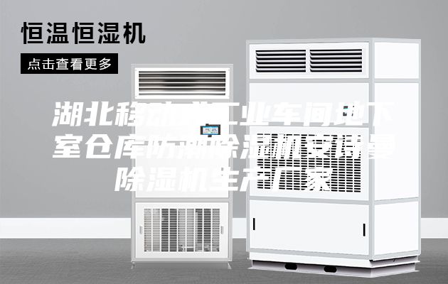 湖北移動式工業(yè)車間地下室倉庫防潮除濕機安詩曼除濕機生產(chǎn)廠家