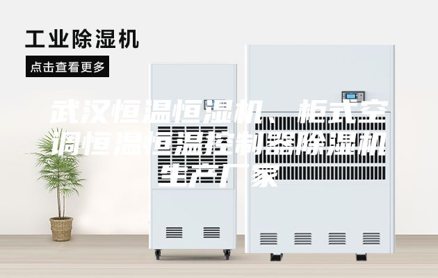 武漢恒溫恒濕機、柜式空調恒溫恒溫控制器除濕機生產廠家