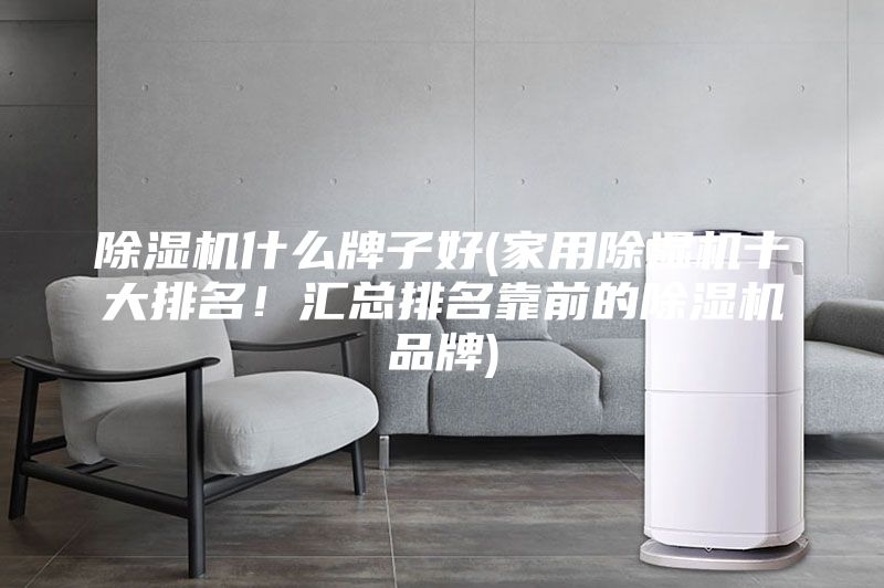 除濕機什么牌子好(家用除濕機十大排名！匯總排名靠前的除濕機品牌)