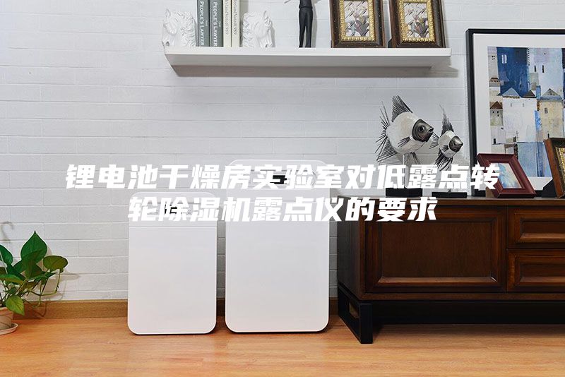 鋰電池干燥房實(shí)驗(yàn)室對(duì)低露點(diǎn)轉(zhuǎn)輪除濕機(jī)露點(diǎn)儀的要求