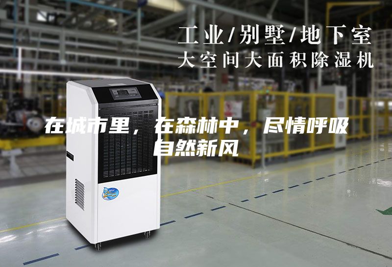 在城市里，在森林中，盡情呼吸自然新風(fēng)