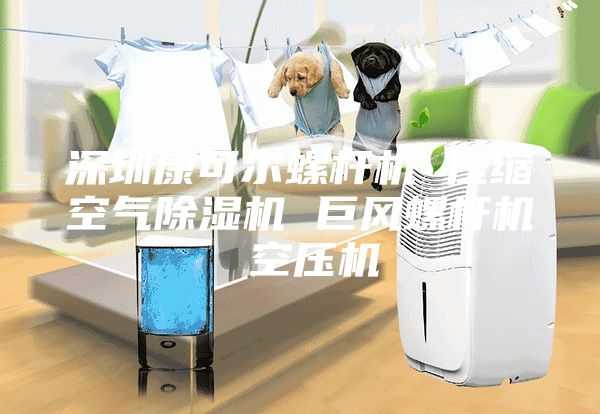深圳康可爾螺桿機 壓縮空氣除濕機 巨風(fēng)螺桿機 空壓機