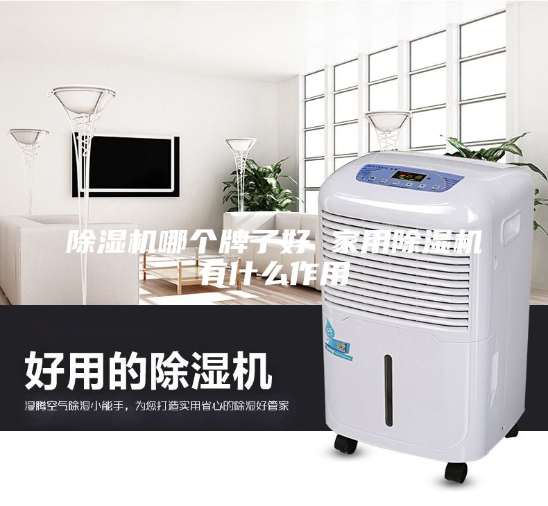 除濕機(jī)哪個(gè)牌子好 家用除濕機(jī)有什么作用