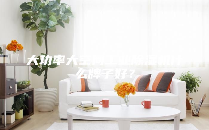 大功率大空間工業除濕機什么牌子好？