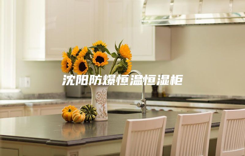 沈陽(yáng)防爆恒溫恒濕柜