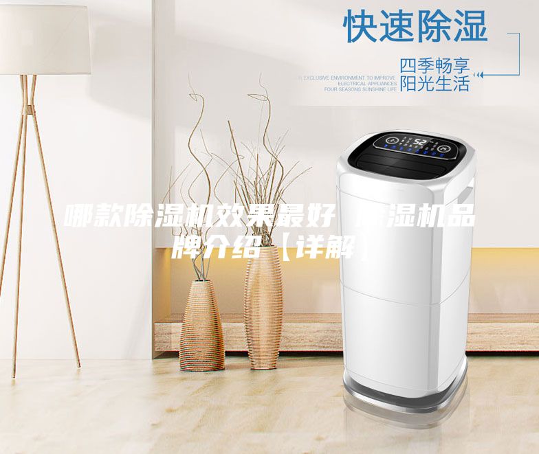哪款除濕機效果最好 除濕機品牌介紹【詳解】