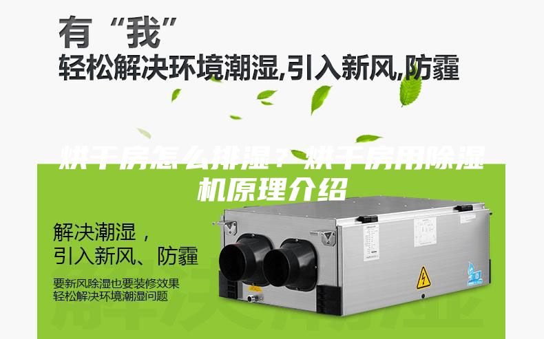 烘干房怎么排濕？烘干房用除濕機原理介紹