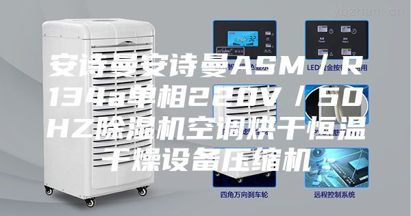 安詩(shī)曼安詩(shī)曼ASM／R134a單相220V／50HZ除濕機(jī)空調(diào)烘干恒溫干燥設(shè)備壓縮機(jī)