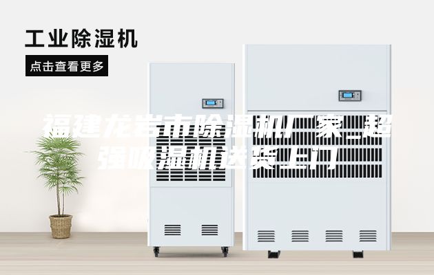 福建龍巖市除濕機廠家_超強吸濕機送貨上門