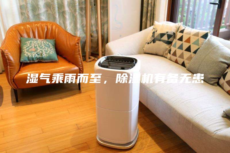 濕氣乘雨而至，除濕機(jī)有備無患