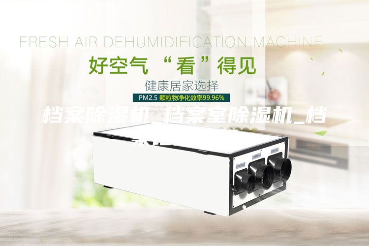 檔案除濕機(jī)_檔案室除濕機(jī)_檔案館除濕機(jī)