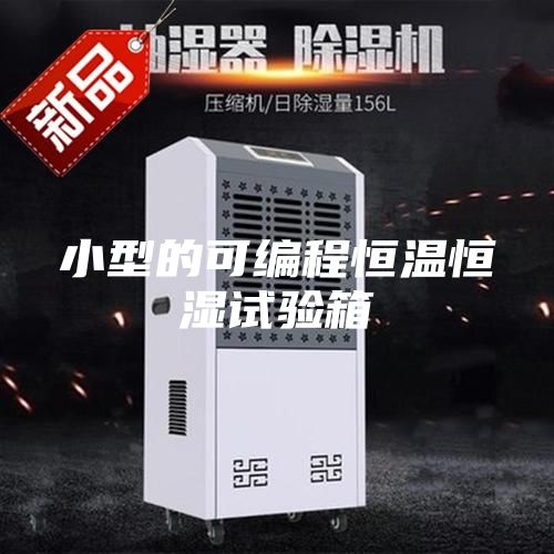 小型的可編程恒溫恒濕試驗箱