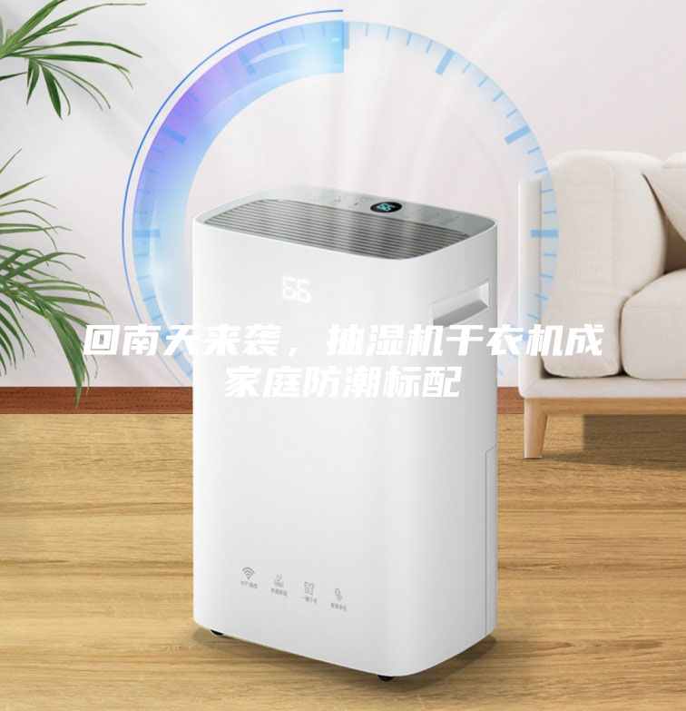 回南天來襲，抽濕機(jī)干衣機(jī)成家庭防潮標(biāo)配