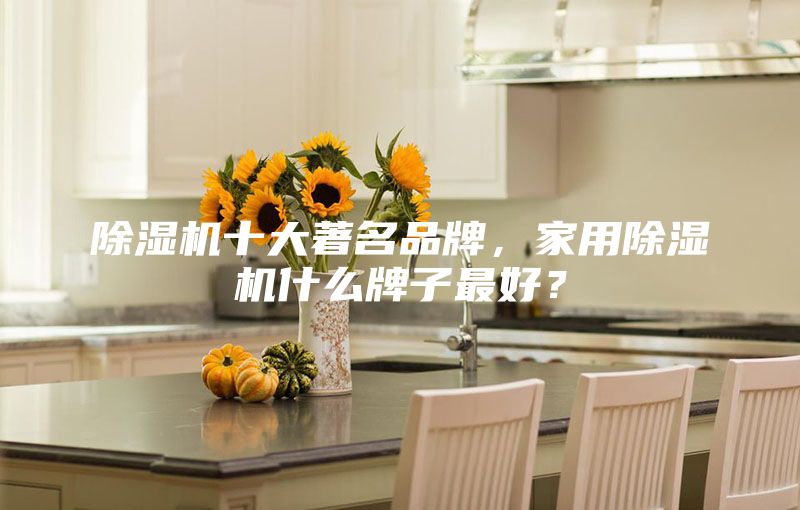 除濕機(jī)十大著名品牌，家用除濕機(jī)什么牌子最好？