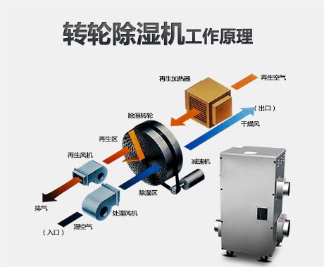 除濕機有什么用？