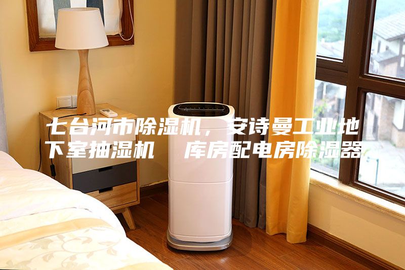 七臺河市除濕機(jī)，安詩曼工業(yè)地下室抽濕機(jī)  庫房配電房除濕器