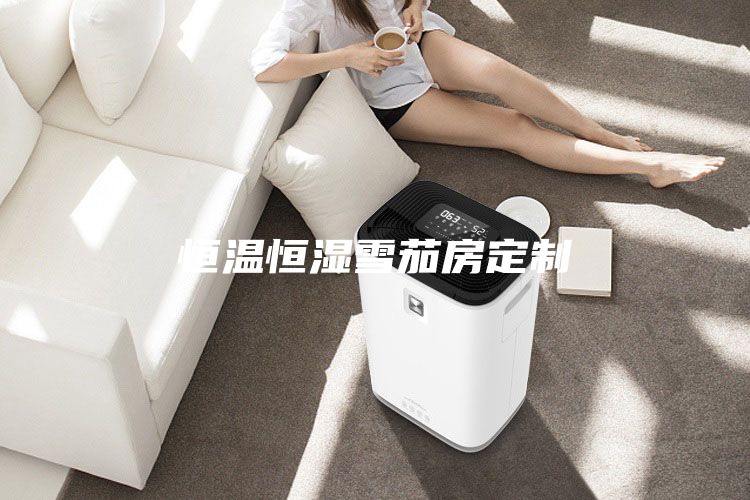 恒溫恒濕雪茄房定制