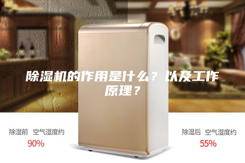 除濕機的作用是什么？以及工作原理？