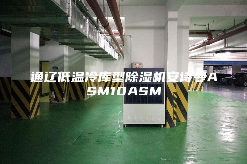 通遼低溫冷庫(kù)型除濕機(jī)安詩(shī)曼ASM10ASM