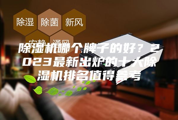 除濕機哪個牌子的好？2023最新出爐的十大除濕機排名值得參考
