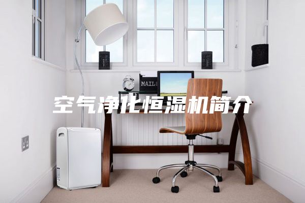 空氣凈化恒濕機簡介