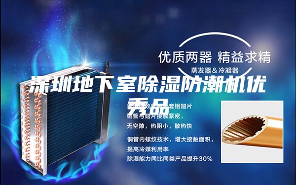 深圳地下室除濕防潮機優(yōu)秀品