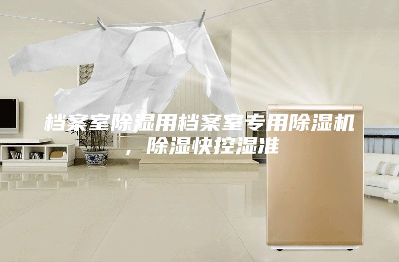 檔案室除濕用檔案室專用除濕機，除濕快控濕準