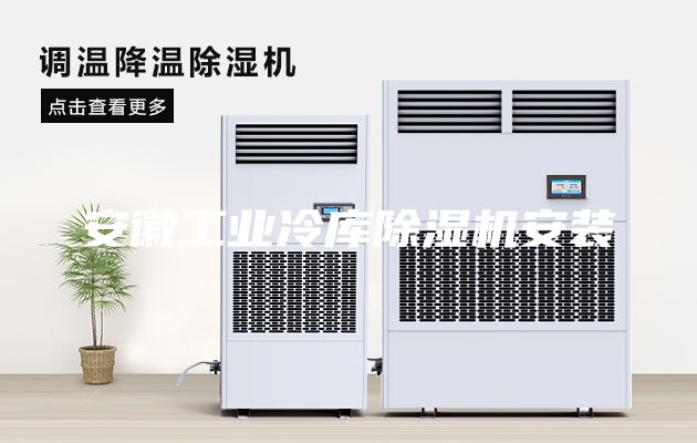 安徽工業(yè)冷庫(kù)除濕機(jī)安裝