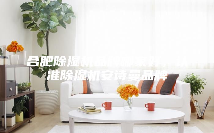 合肥除濕機(jī)品牌哪家好，認(rèn)準(zhǔn)除濕機(jī)安詩曼品牌