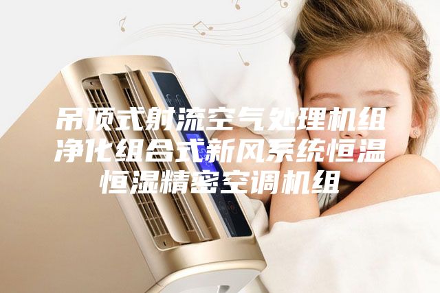 吊頂式射流空氣處理機組凈化組合式新風系統恒溫恒濕精密空調機組