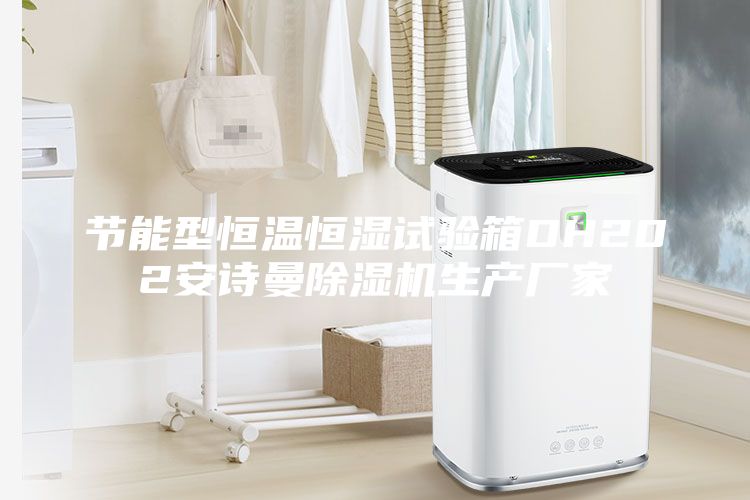 節(jié)能型恒溫恒濕試驗(yàn)箱DH202安詩(shī)曼除濕機(jī)生產(chǎn)廠家