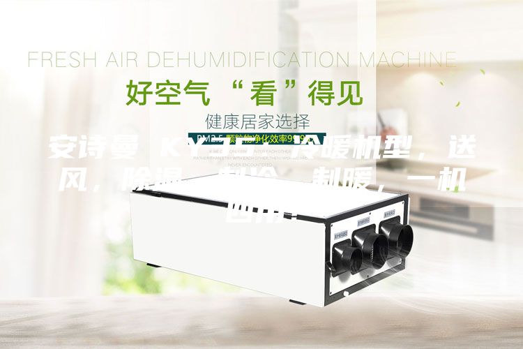 安詩曼 KY35：冷暖機型，送風，除濕，制冷，制暖，一機四用！