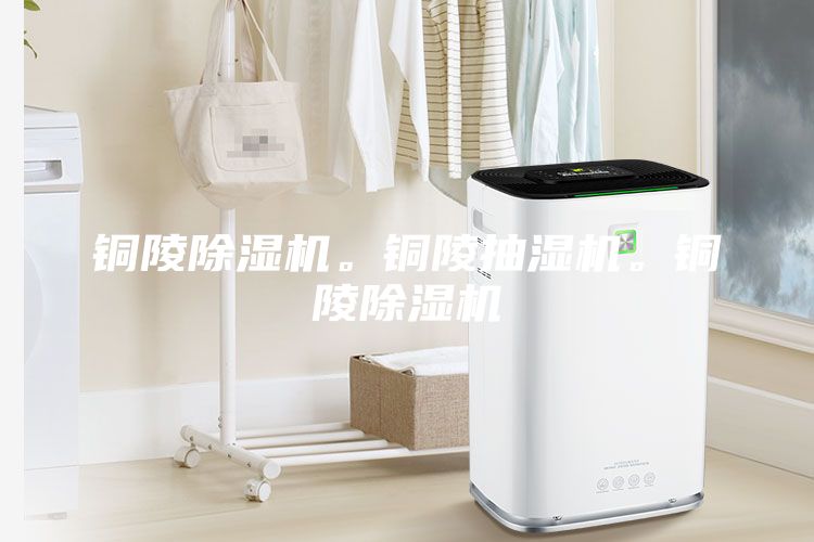銅陵除濕機(jī)。銅陵抽濕機(jī)。銅陵除濕機(jī)