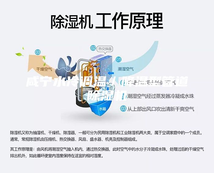 咸寧水冷調(diào)溫／降溫型管道除濕機(jī)
