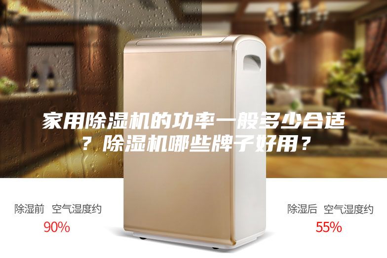 家用除濕機(jī)的功率一般多少合適？除濕機(jī)哪些牌子好用？