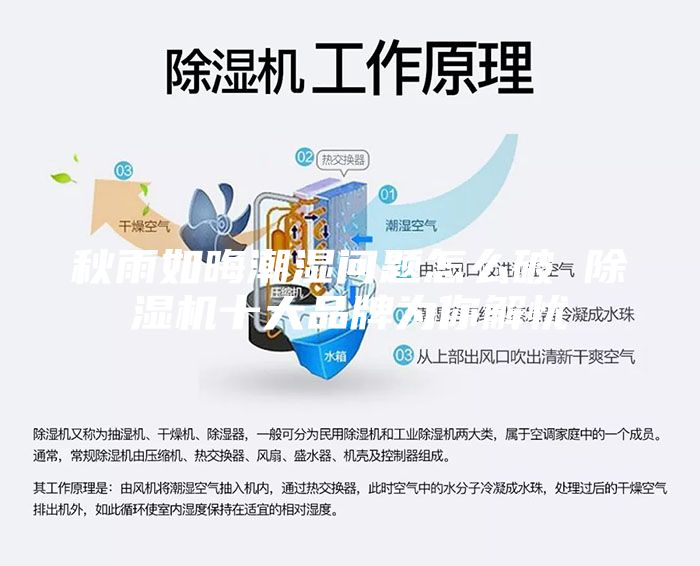 秋雨如晦潮濕問題怎么破 除濕機(jī)十大品牌為你解憂