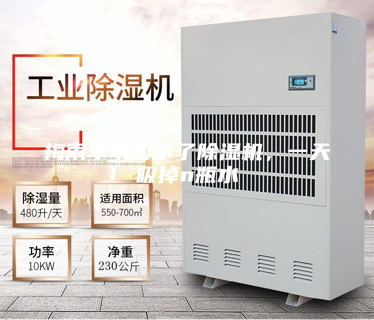 梅雨季節(jié)少不了除濕機(jī)，一天吸掉n瓶水