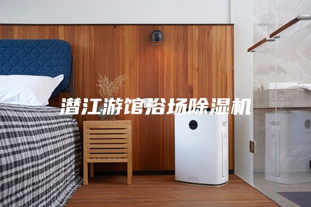潛江游館浴場(chǎng)除濕機(jī)