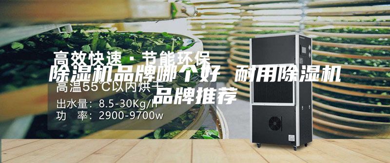 除濕機(jī)品牌哪個(gè)好 耐用除濕機(jī)品牌推薦