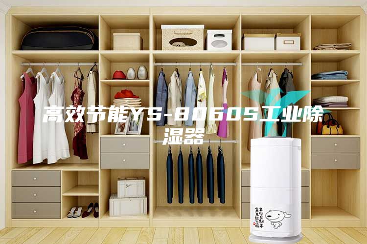 高效節能YS-8060S工業除濕器