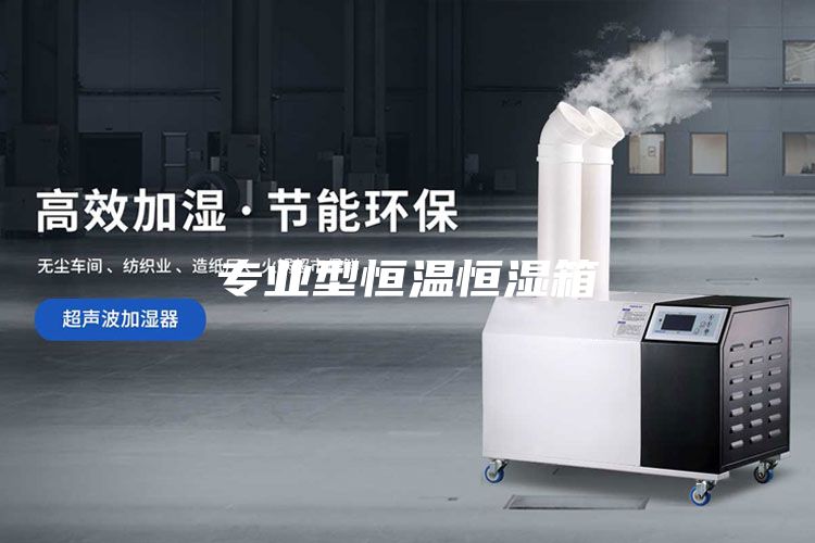 專業型恒溫恒濕箱